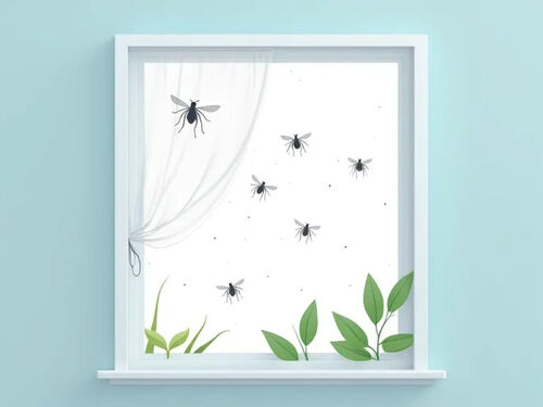 Dernier blog de l'entreprise Moustiquaires : Essentielles pour le contrôle des nuisibles en été dans les maisons