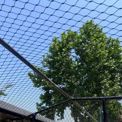 Bon prix Black Oxidized Steel Rope Net For Animal Enclosure Mesh en ligne
