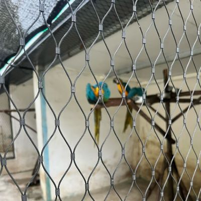 Goede prijs 1.6mm Diameter 50mm Opening roestvrij staal touw mesh Net voor dierentuin omheining mesh online